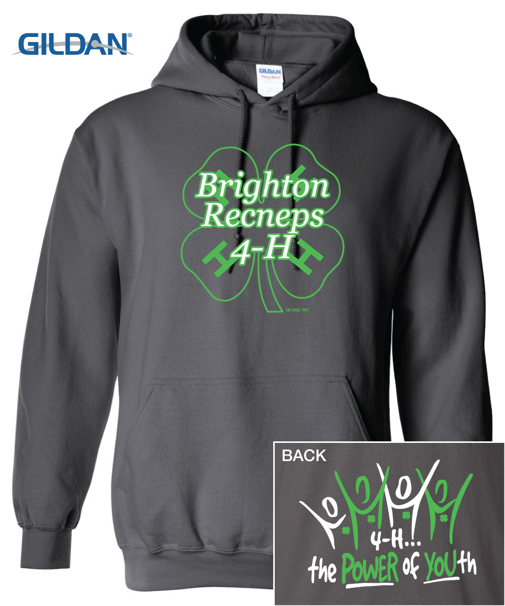 Brighton Recneps Hoody