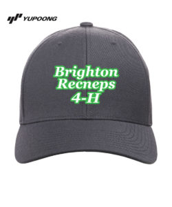 Brighton Recneps Hat